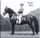 Prince Allen